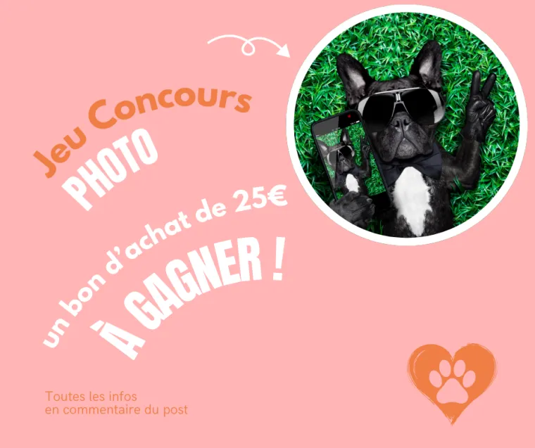 Journée mondiale des animaux : jeu concours ! , Mercury, La Truffe Poudrée